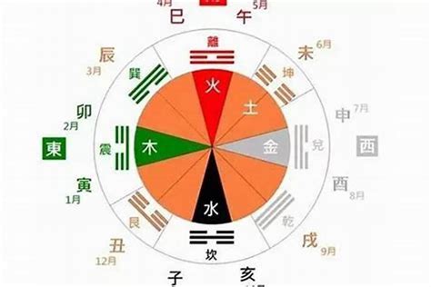 2024金木水火土|吉照堂：2024金木水火土查询表，应对2024年命运变化